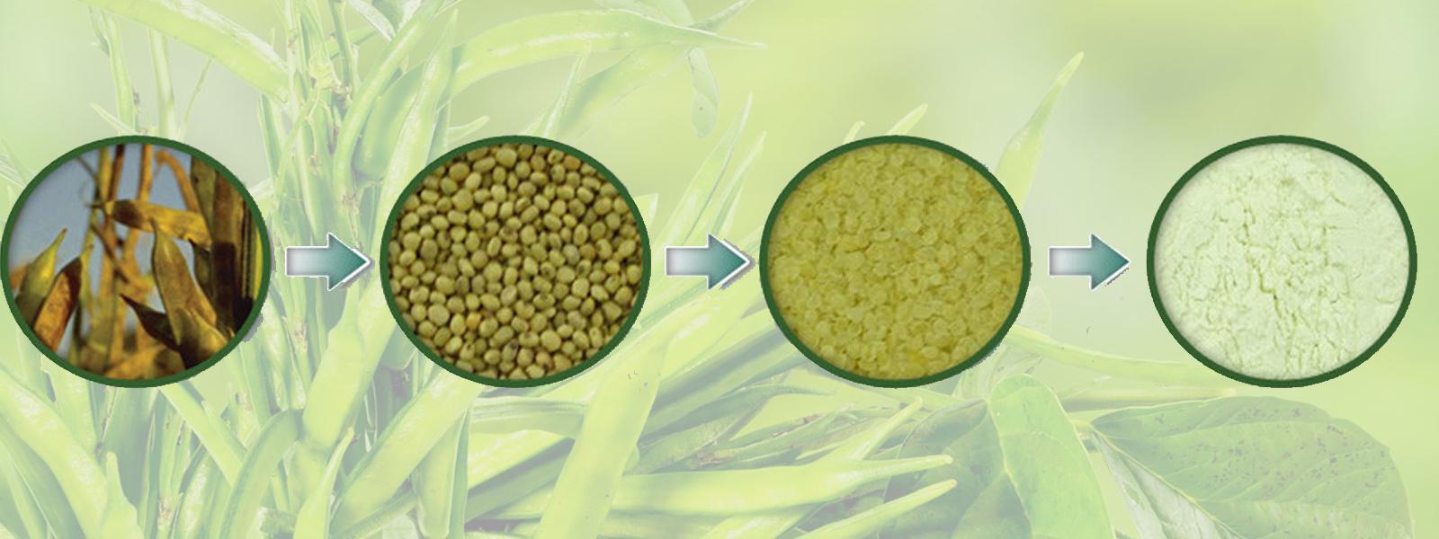 Everest Proteins Slider Image